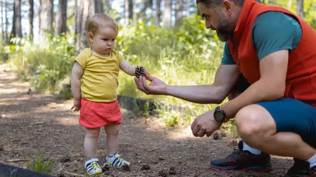 Découvrir les trésors de la forêt