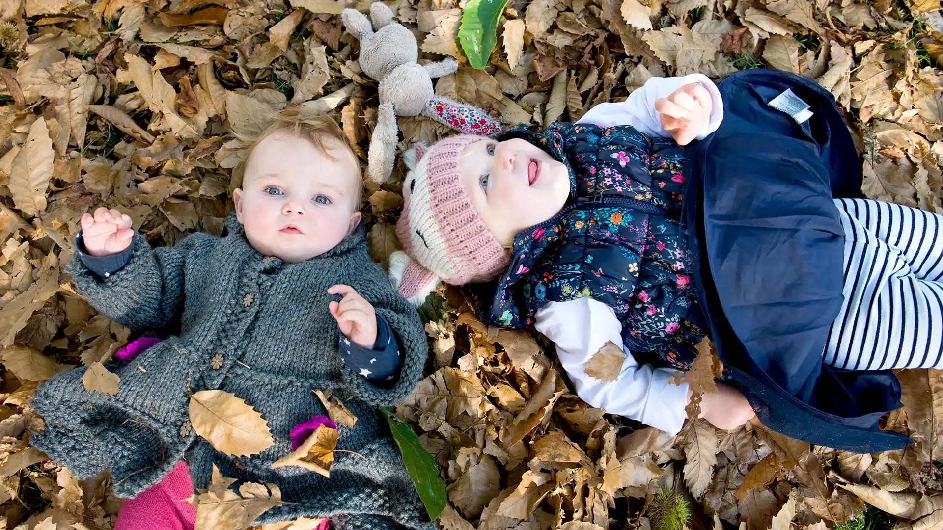Enfants en garderie nature en Suisse explorant la forêt