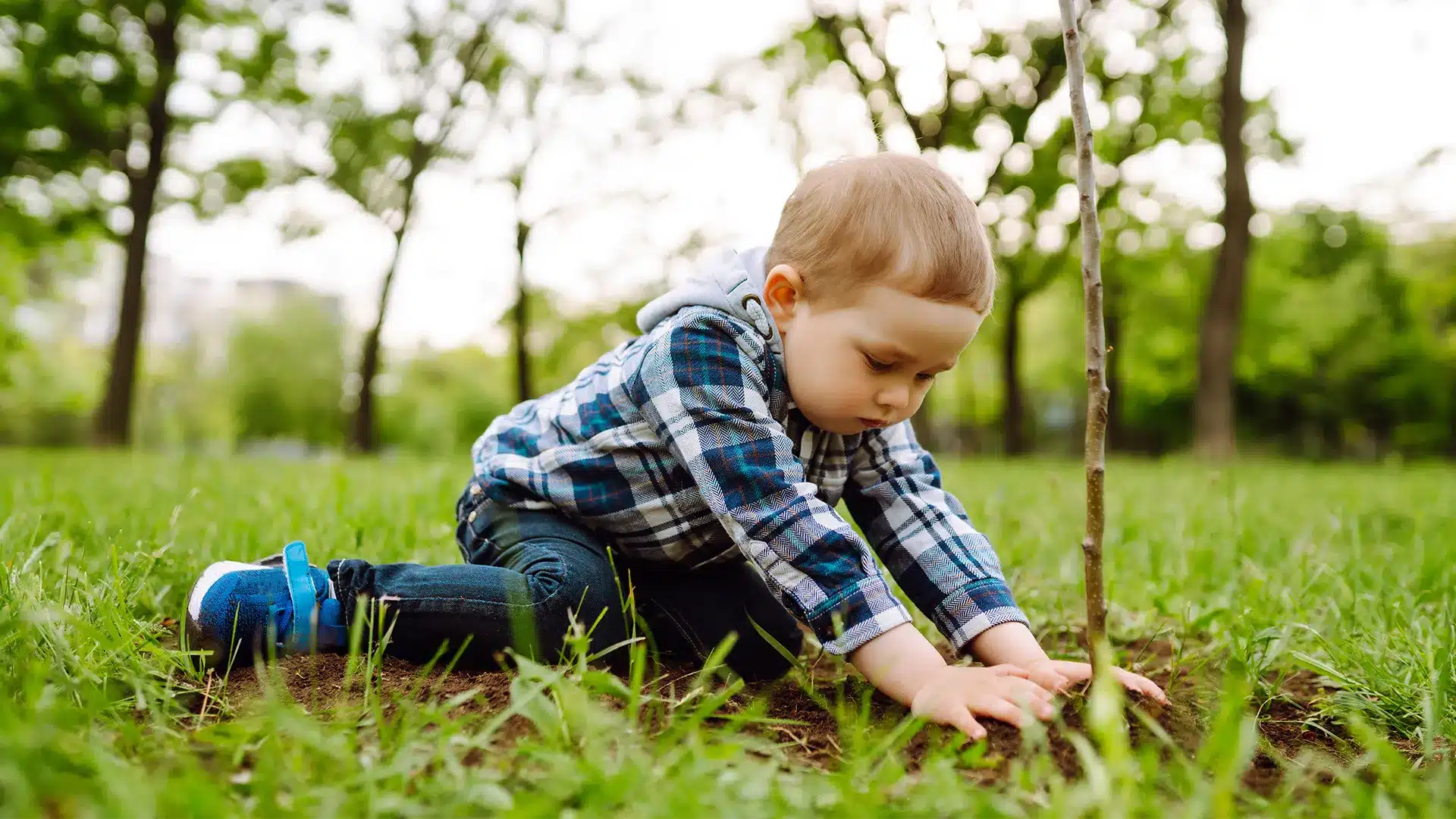 Cet Ecologie En Creche 01