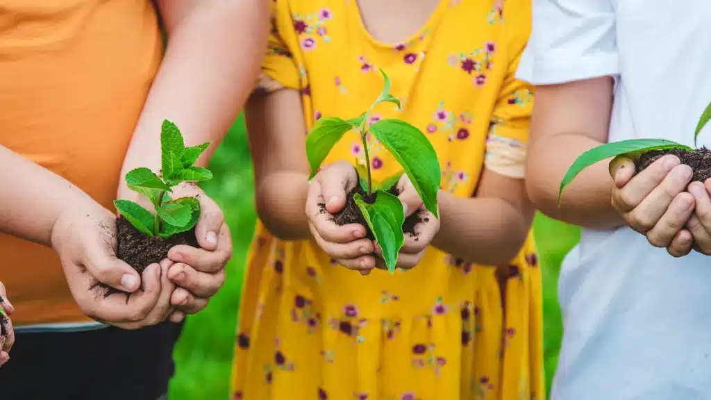 Ökologie in der Krippe 02